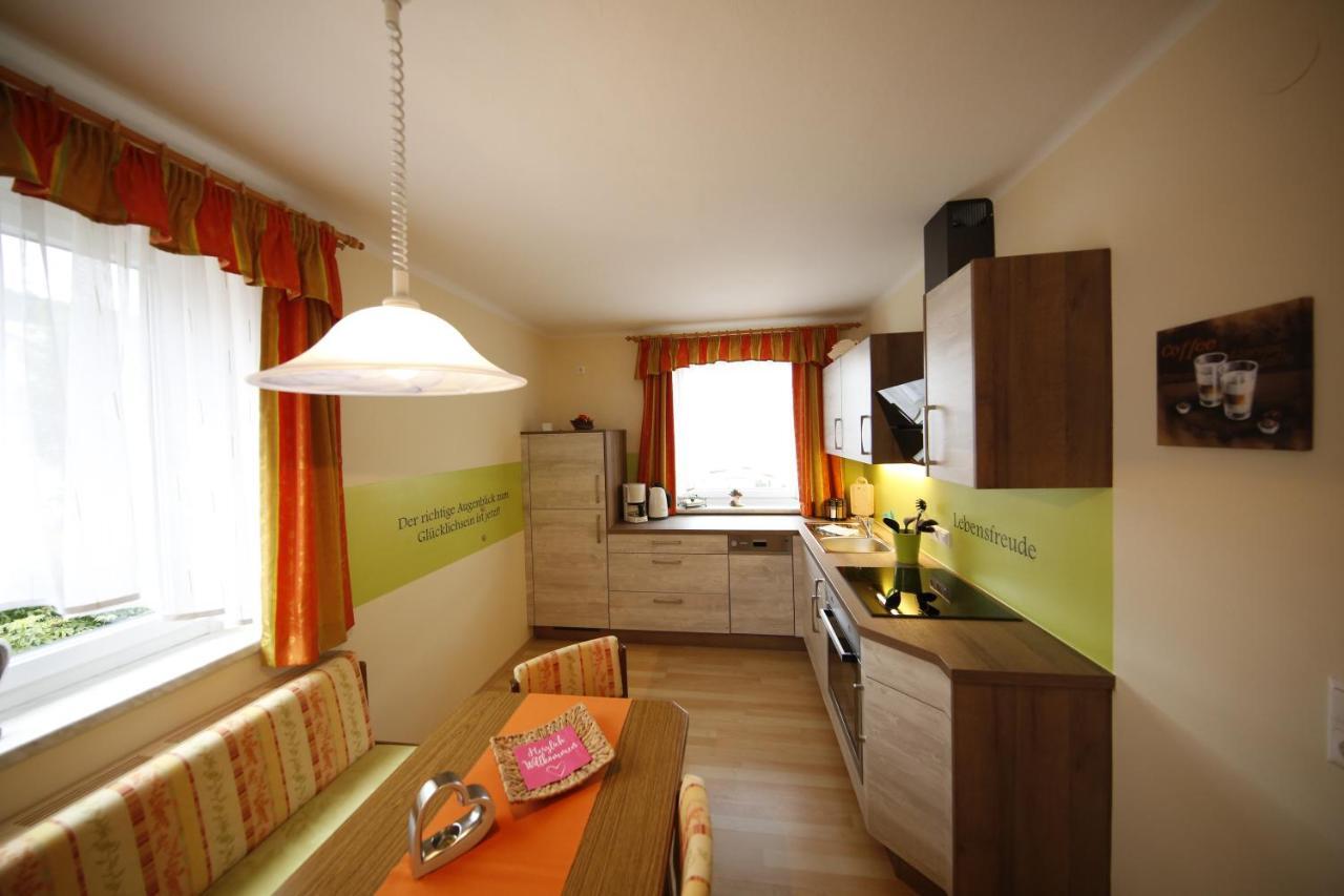 Appartement Helga Schladming Zewnętrze zdjęcie